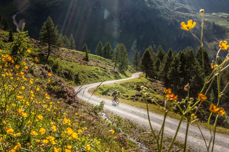 A few simple rules before your next bikepacking tour in Austria. Photo: Chiara Terraneo