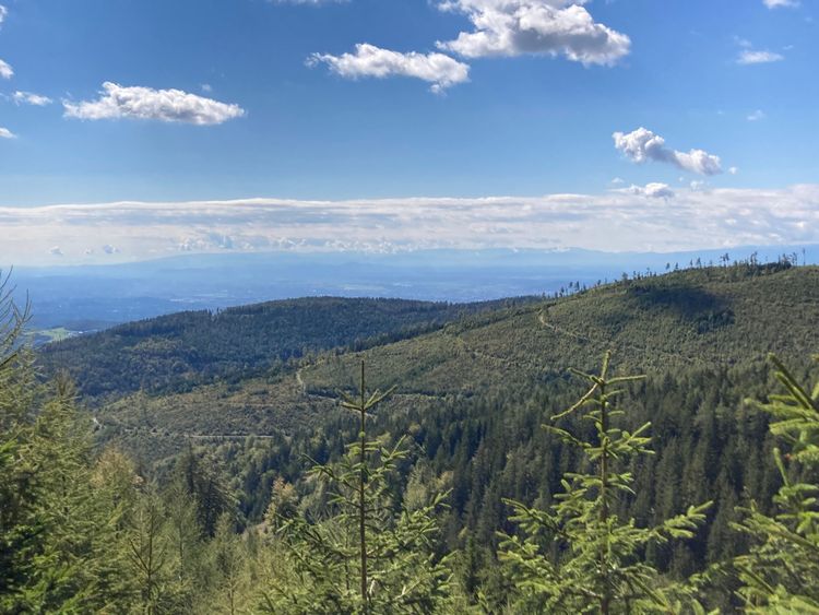 Radfahren in der Steiermark - herrliches Panorama