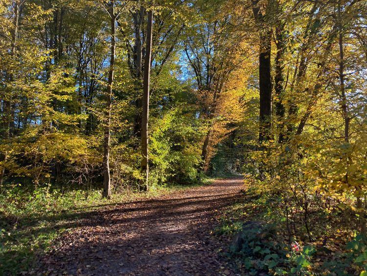 Mur- und Sulm- Wiesen Graveltour