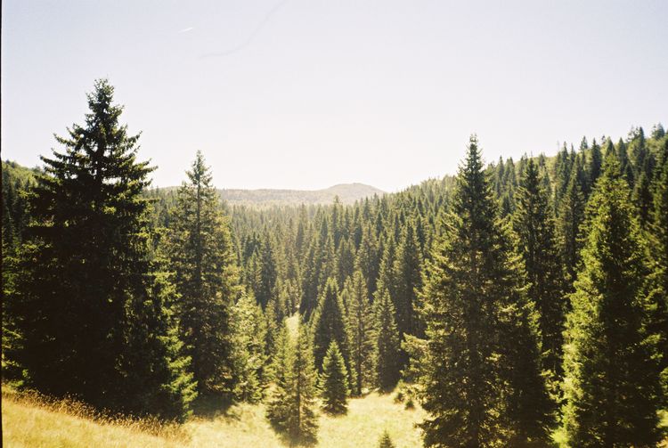 Gallery image 11