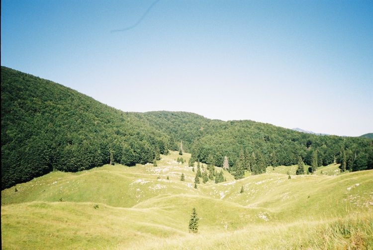 Gallery image 9