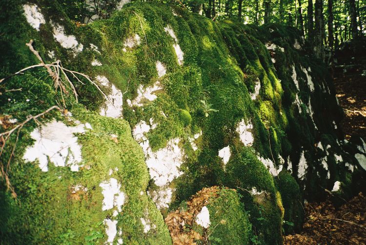 Gallery image 12