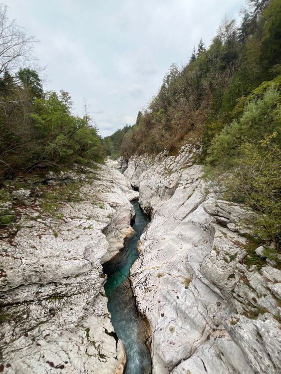 Das Soca Tal ist atemberaubend. Der Fluss schneidet sich durch den Stein und wir radeln entlang des Flusses.