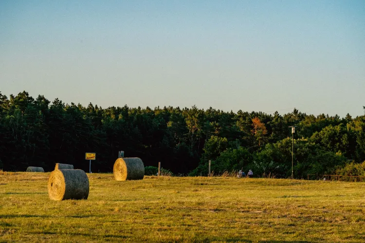 The landscapes of Hamburg's Backyard Gravel