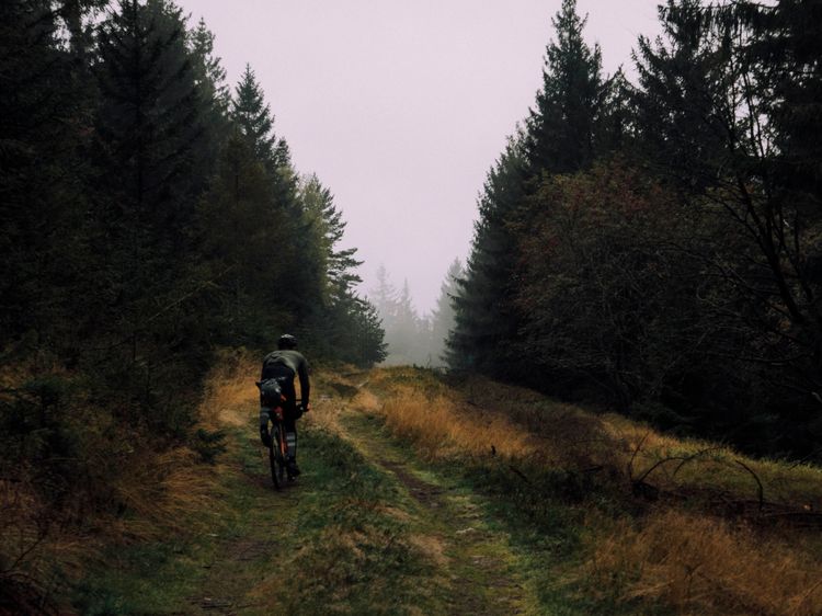 Cycling - Bohemian Forest