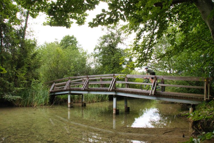 A small bridge near Grabensee in Salzburger Seenland is gravelcycling heaven.