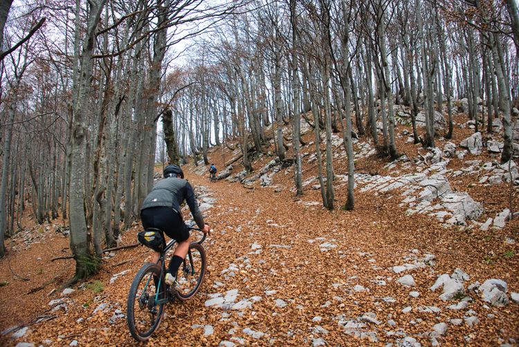 Der Anstieg aus Platak heraus ist steil, belohnt euch aber mit einem der schönsten Abschnitte durch den Risnjak-Nationalpark auf der Lynx Trail Bikepacking Route.