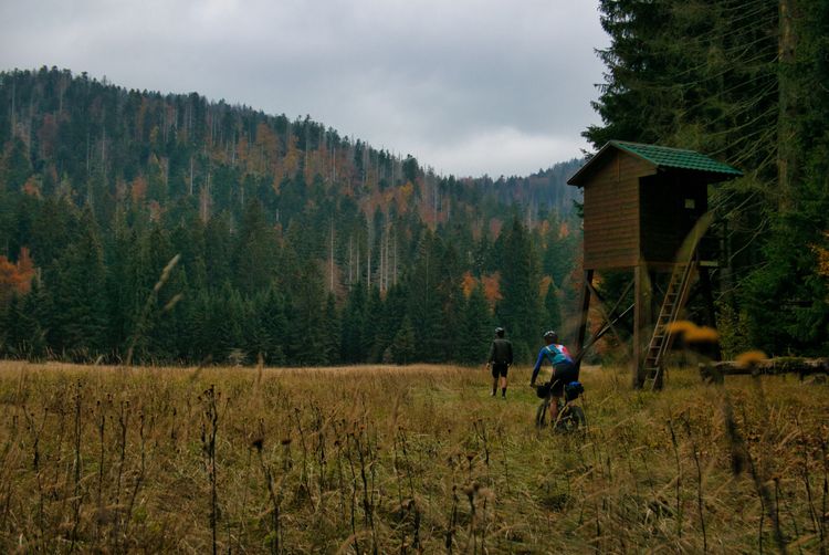 An amazing remote section through Risnjak National Park leads you to Bela Vodica.