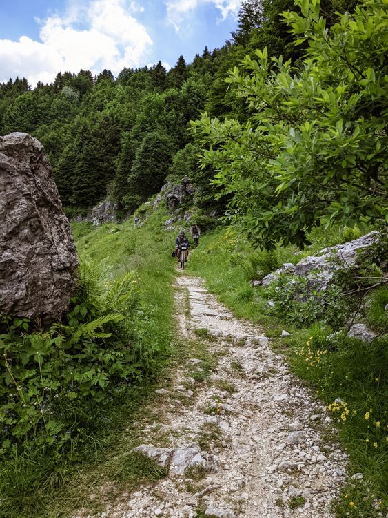 Gallery image 9