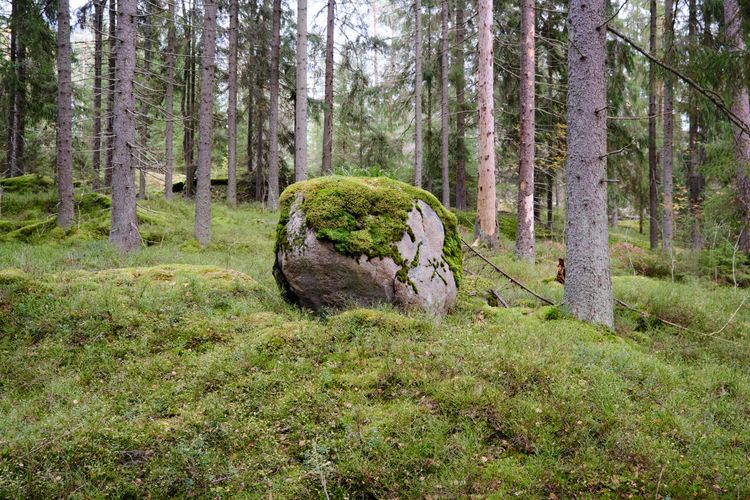 Nuuksio National Park