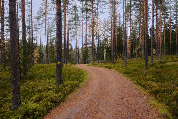 Nuuksio National Park