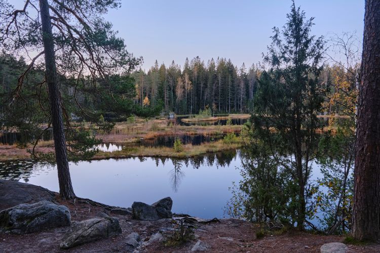 Finland has dreamy forests and lakes for you to discover on your gravelbike.