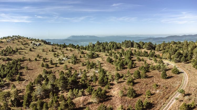 Bele Ovce bietet einen 360-Grad-Blick von den Karstlandschaften bis zum Meer um Rijeka.