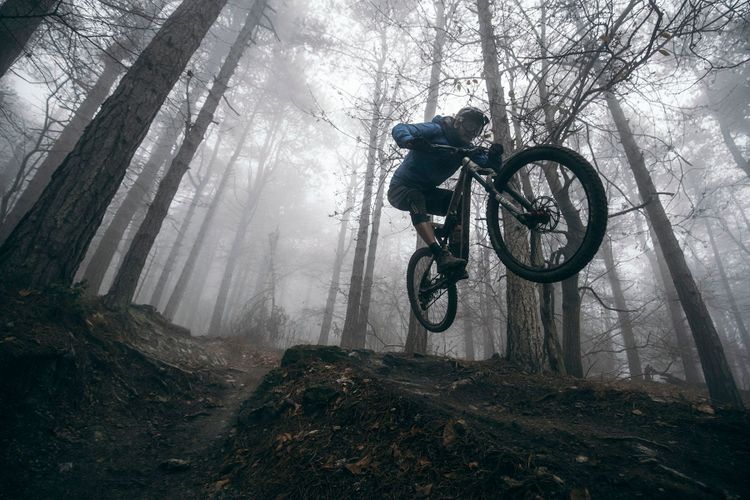 Mountainbiken ist stark am wachsen. Mehr und mehr trails werden dafür geöffnet. Photo: David Robinson