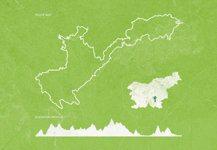 map-halftone-green-V9.webp