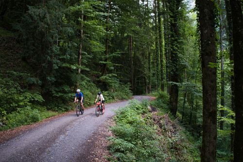 Das Lammertal führt einen tief in die Alpen und bietet perfekte Gravel Routen in Salzburg.