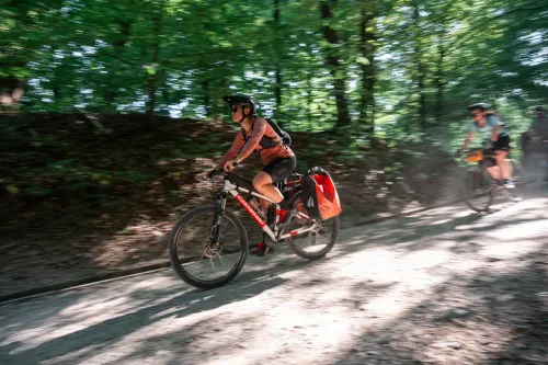 Zooming through the Woods