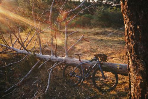 Golden light = Great Bike Pics MontañasVacías - Bikepacking route through Spanish Lapland
