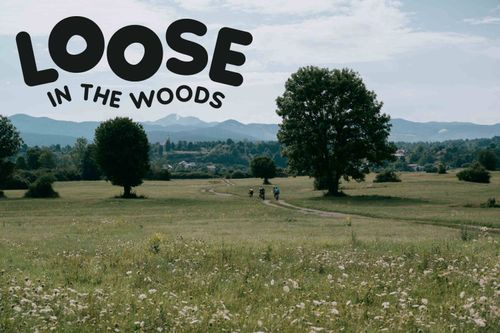 Loose in the Woods
