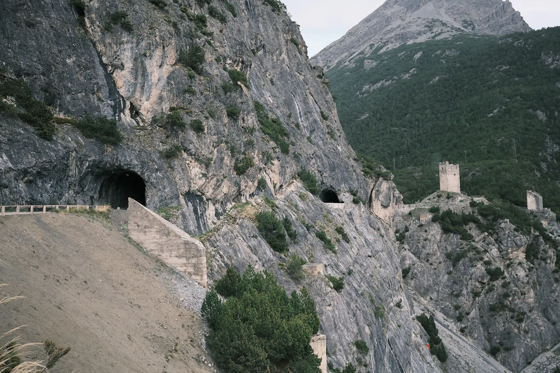 Image 7