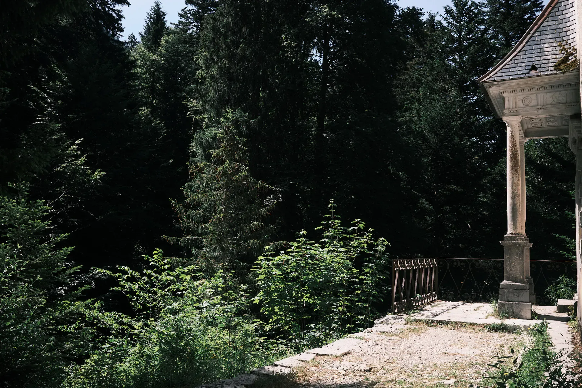 Image 7