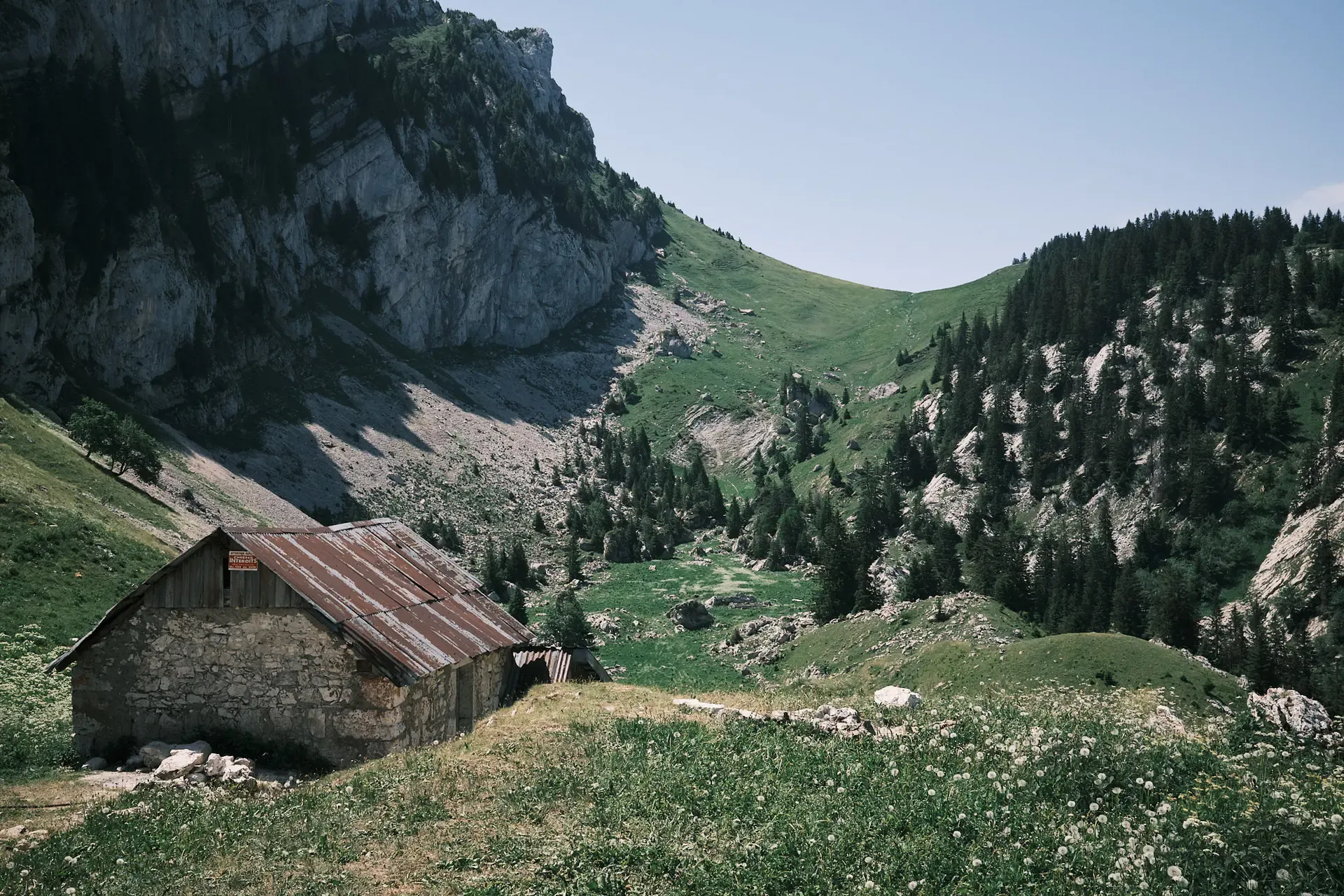 Image 8