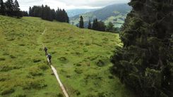 Mountainbiketour - Wiegalm in den Kitzbühler Alpen
