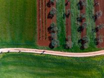 Nova Eroica Istria: Gravel, gusto, and just enough racing to hurt
